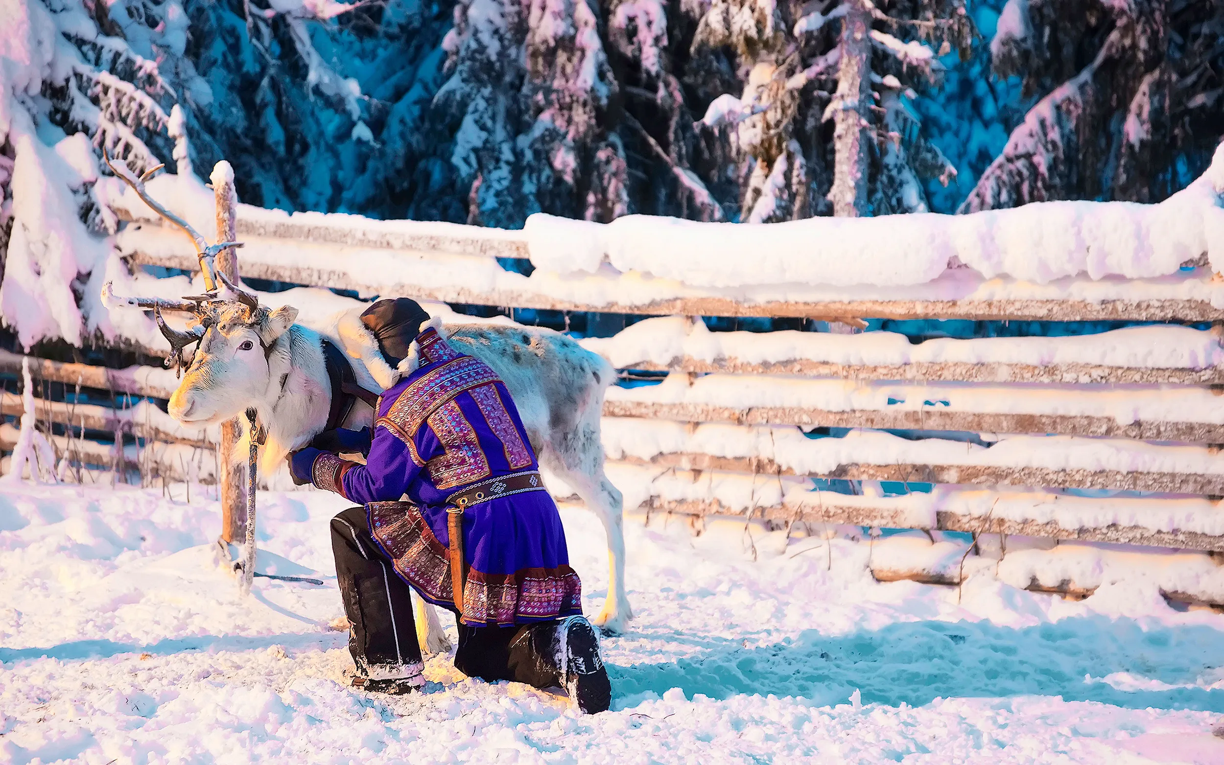 Man in Saami traditional garment at Reindeer Rovaniemi Finland Lapland