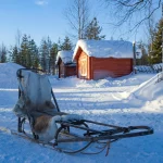 Hundeschlitten in Lappland