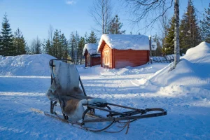 Receive detailed guides for each Arctic destination
