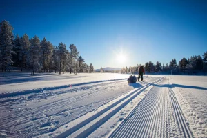 Snowmobile through enchanting snow-covered forests
